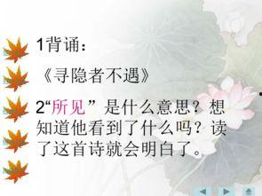 鉴你所见:图卡,探寻视觉艺术中的文化内涵与审美价值