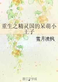 重生之我才是妈妈的小王子,小王子视角下的母爱传奇