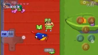 鸭之一族,探寻水禽家族的传奇故事