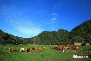 麻雀沟,探寻自然奇观与民俗文化的交融之地