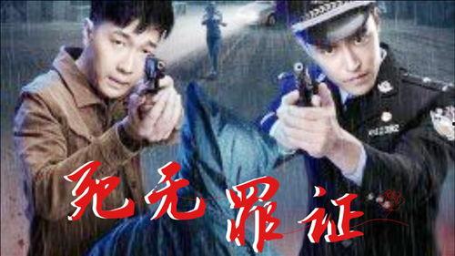 死无罪证,揭开谜团的真相探寻