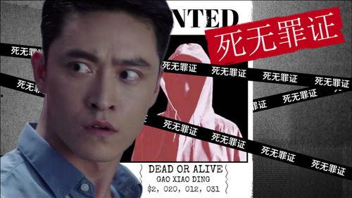 死无罪证,揭开谜团的真相探寻