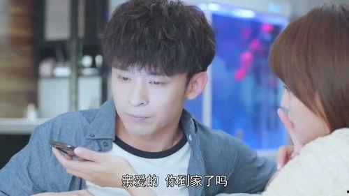 实习生爱情,青春校园的甜蜜邂逅