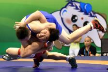 摔角小将,热血青春，激战擂台